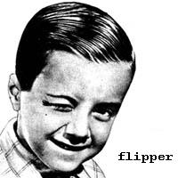 Flipper