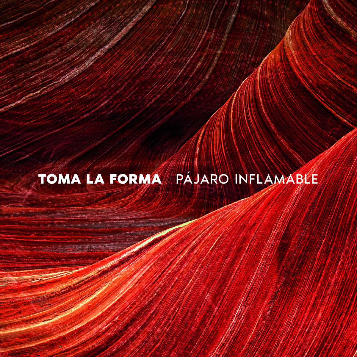 Toma la forma