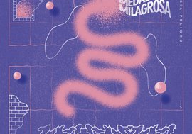 "Fantasía peligro", Medalla Milagrosa