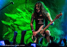 Steve Harris en Museum: un león con poco apetito