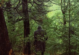 "El primero es el último", Shaman y los Pilares de la Creación
