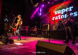 Super Ratones en Flores