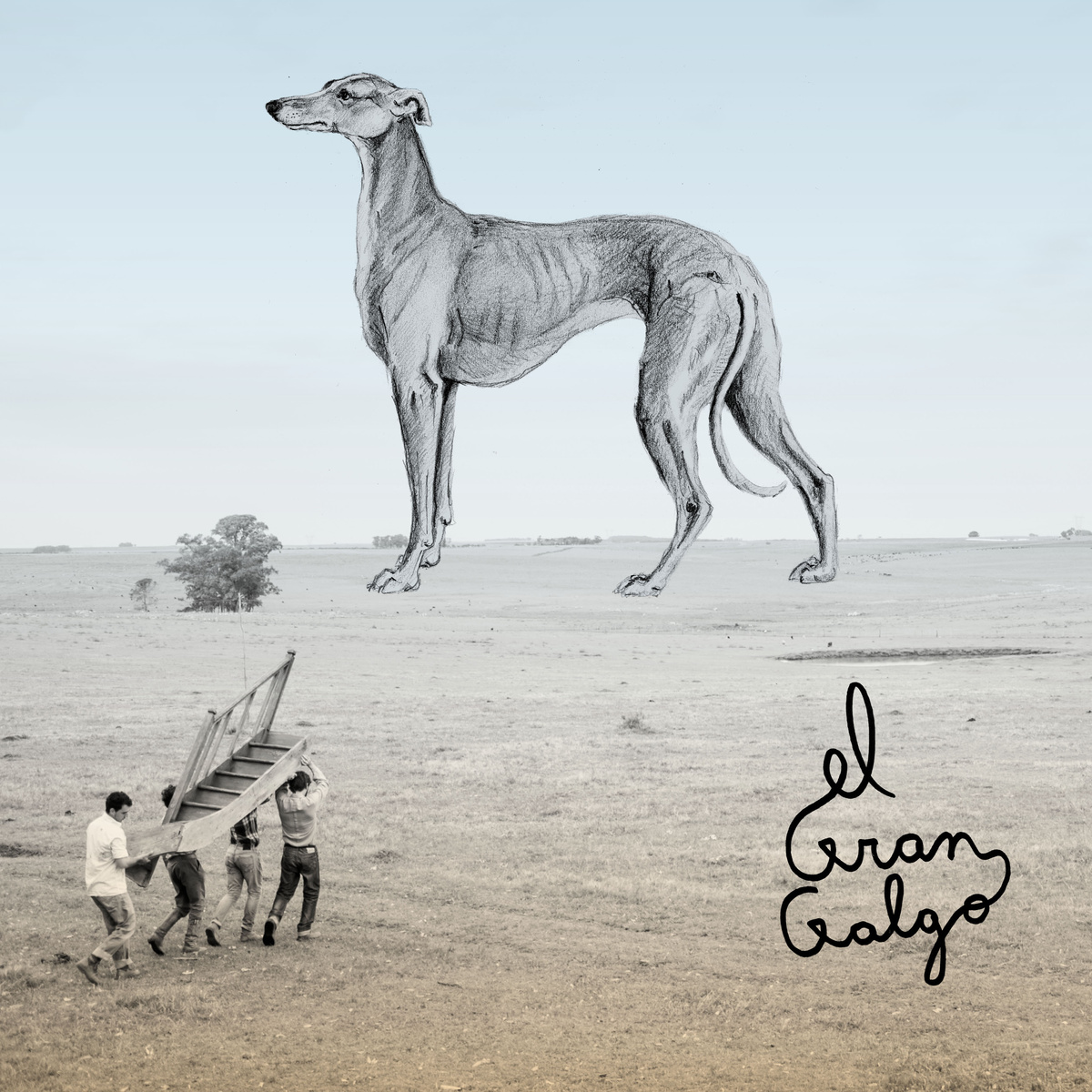 El gran galgo