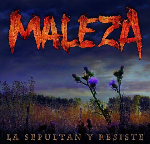 La sepultan y resiste