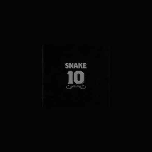 Snake 10 años