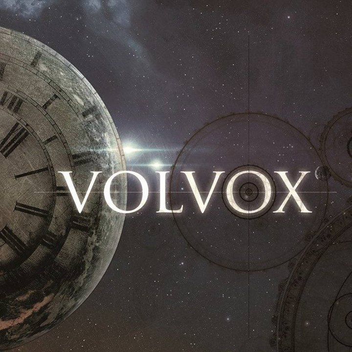 Volvox